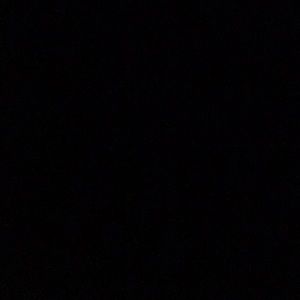 Meet your Posher, Molly